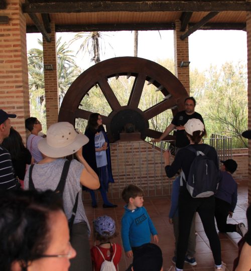 El alma de la Marjal - Acció Ecologista Agró Camp de Morvedre